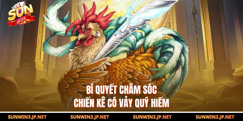 Bí quyết chăm sóc chiến kê có vảy quý hiếm