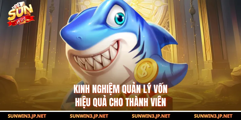 Kinh nghiệm quản lý vốn hiệu quả cho thành viên