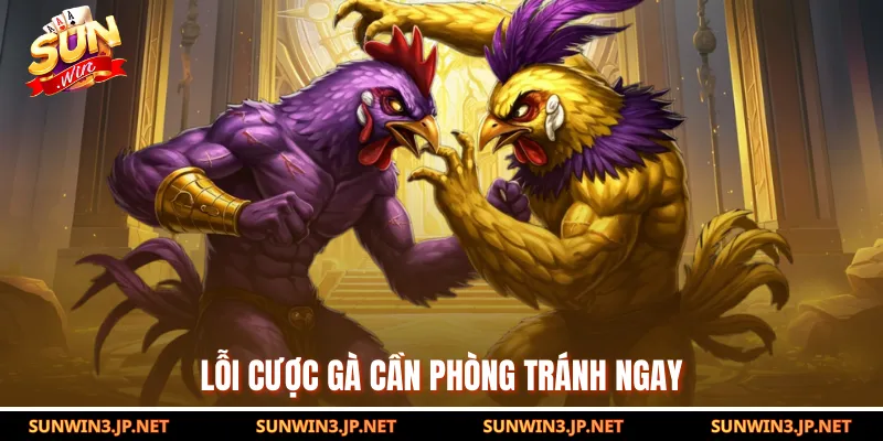 Lỗi cược gà cần phòng tránh ngay