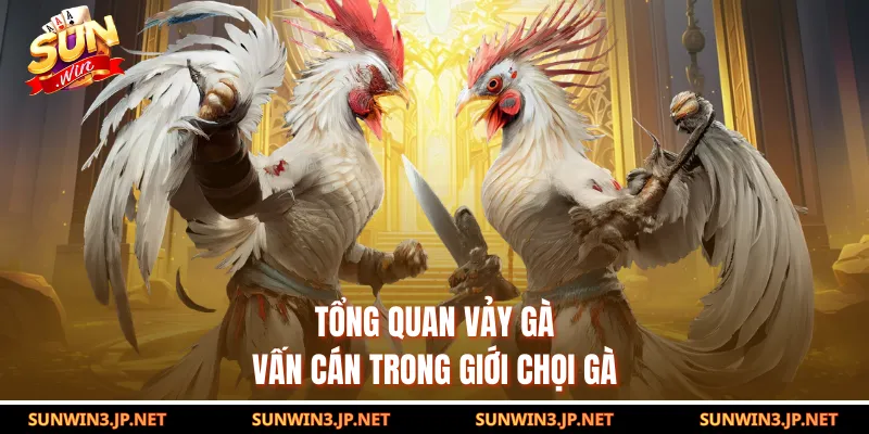 Tổng quan vảy gà Vấn Cán trong giới chọi gà